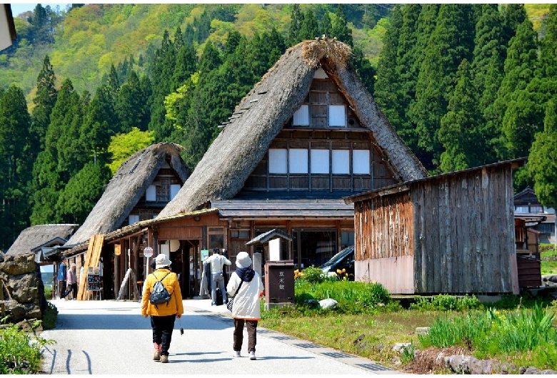 相倉合掌造り集落（伝統的建造物群保存地区）