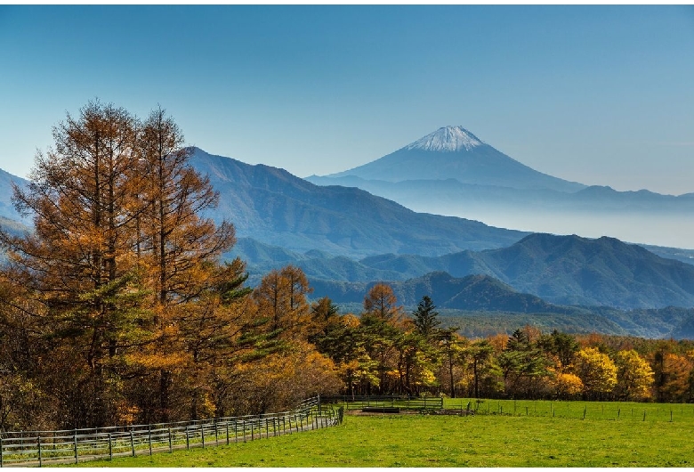 山梨県立まきば公園