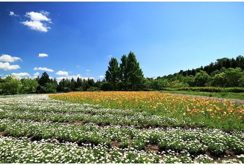 国営備北丘陵公園