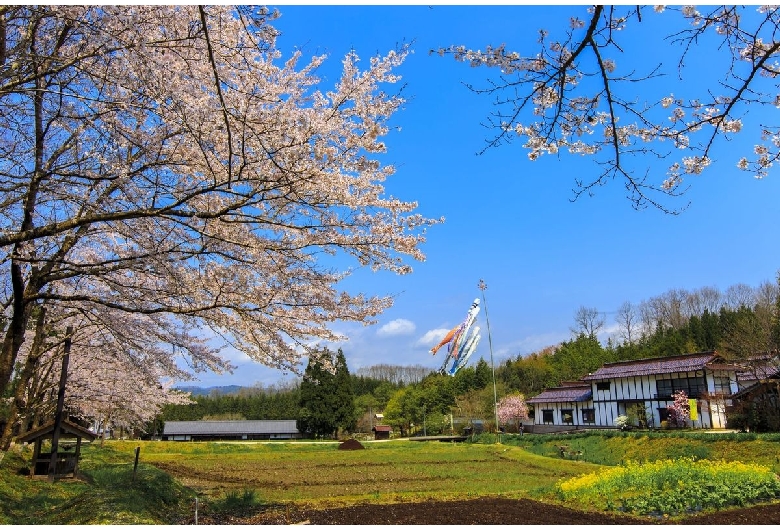 国営備北丘陵公園