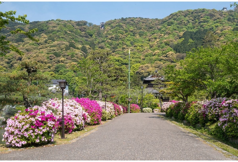 吉香公園