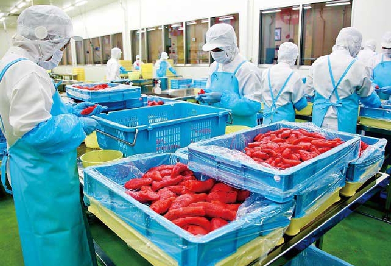 めんたいパークとこなめ（見学）