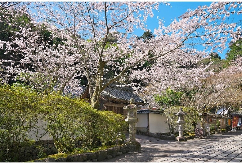 石山寺