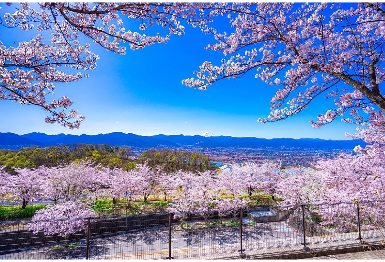 笛吹川フルーツ公園