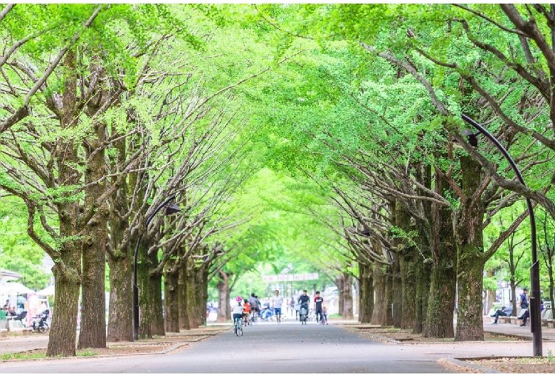 光が丘公園