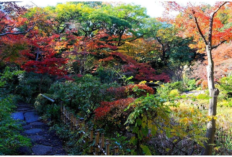 根津美術館