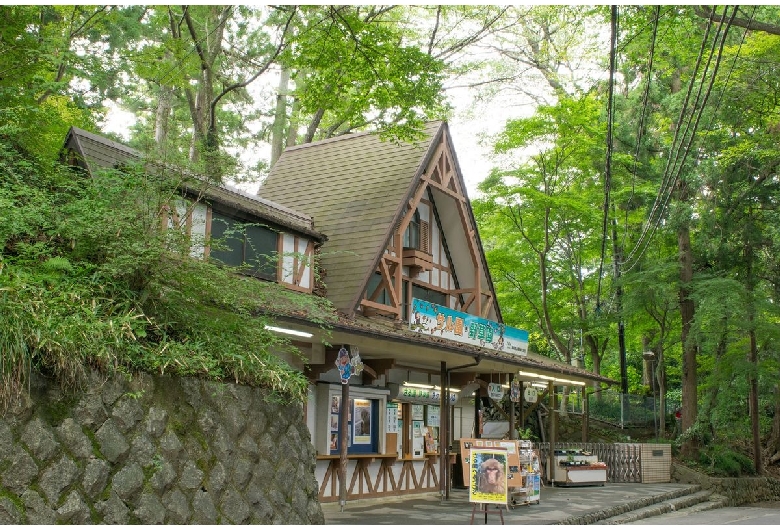 高尾山さる園・野草園