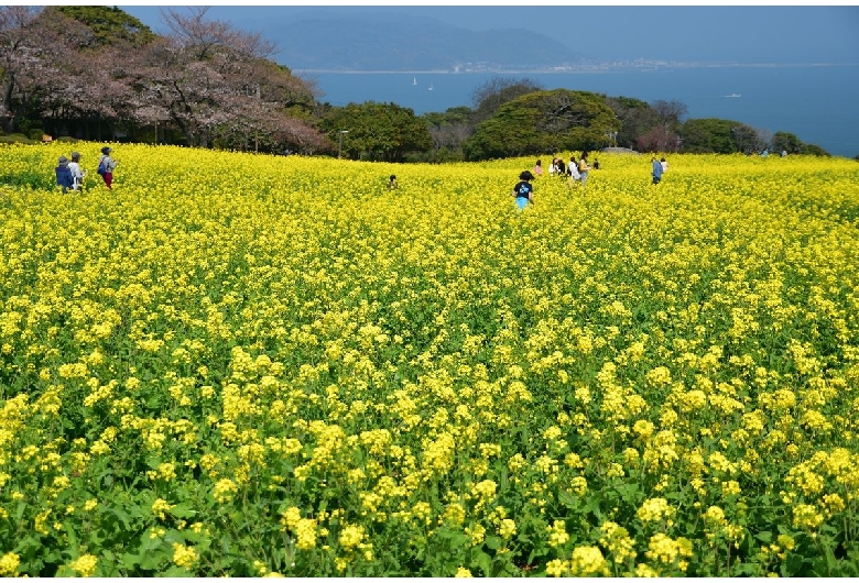 能古島