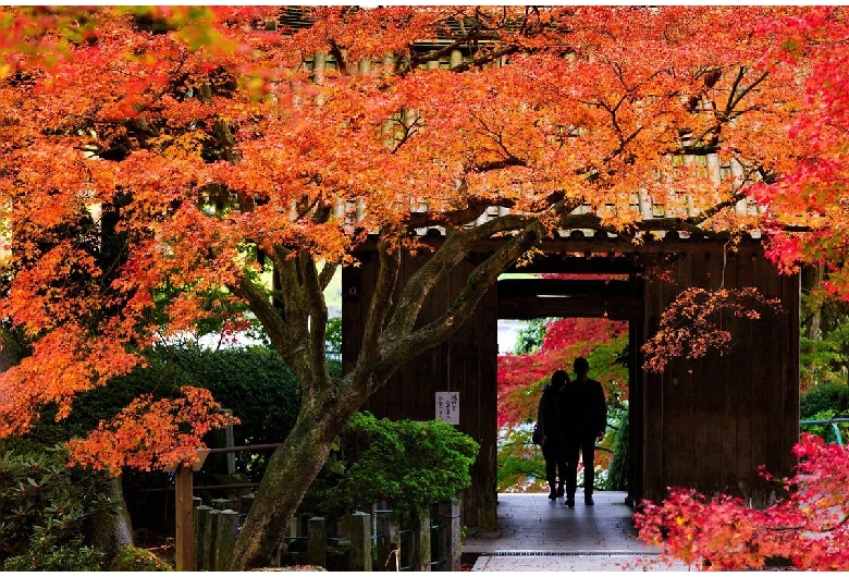 大興善寺