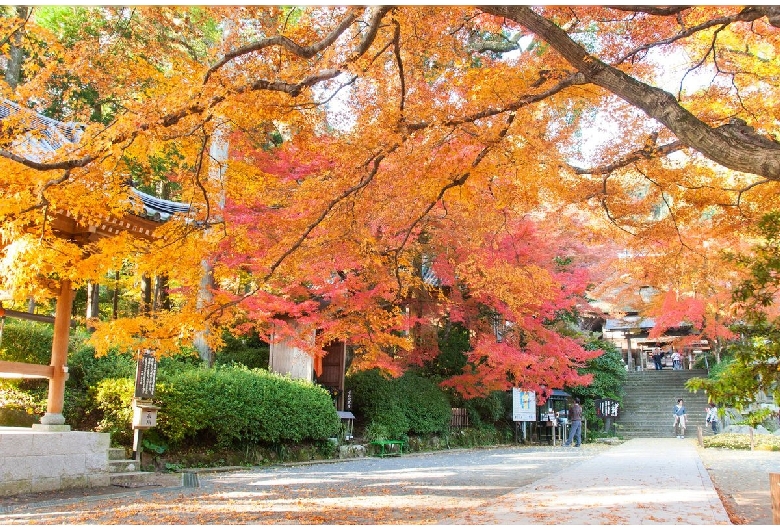 大興善寺