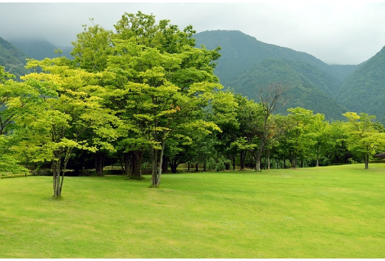 養老公園