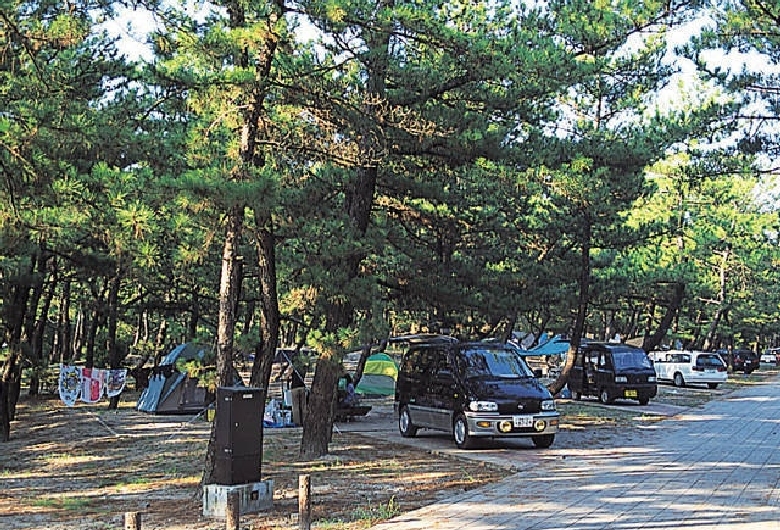 くにの松原キャンプ場