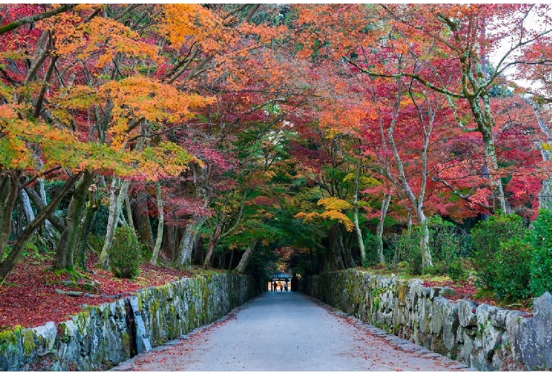 興聖寺