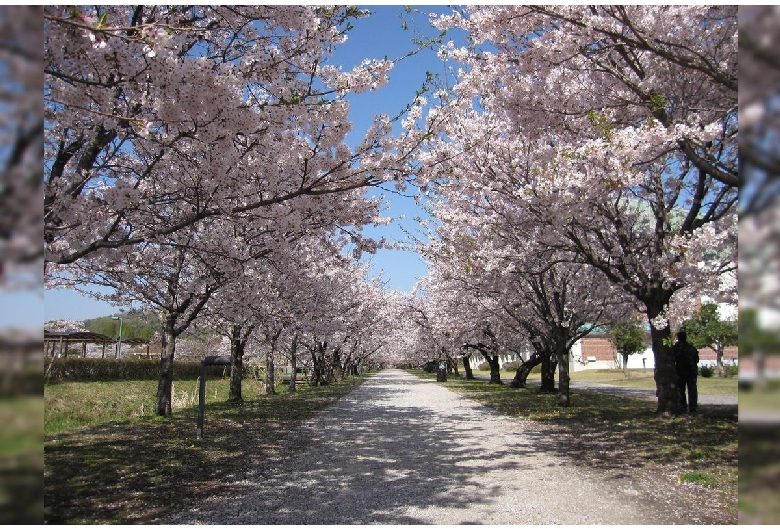 鏡野公園