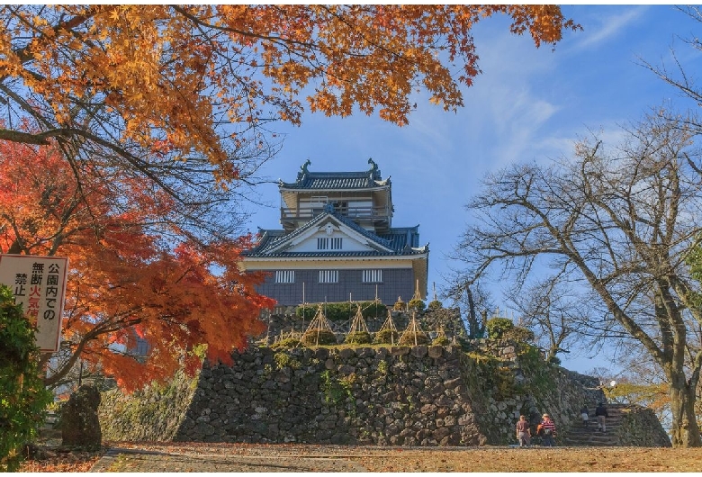 越前大野城