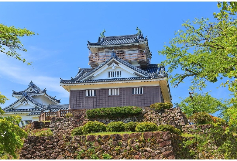 越前大野城