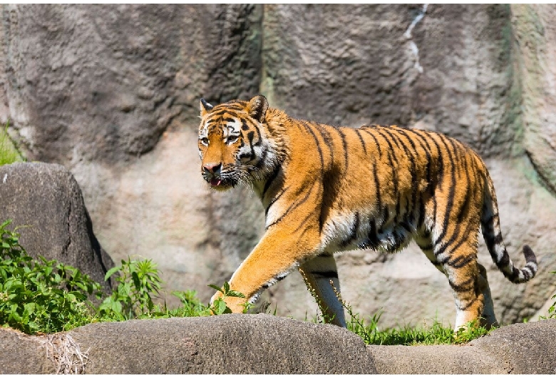 浜松市動物園