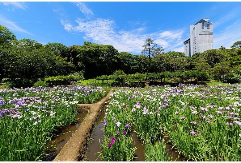 小石川後楽園