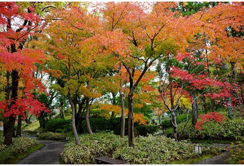 養浩館庭園