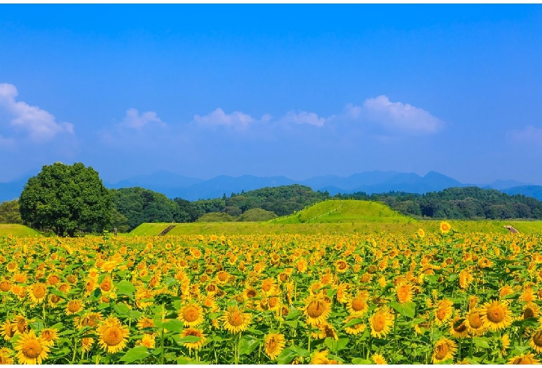 西都原古墳群