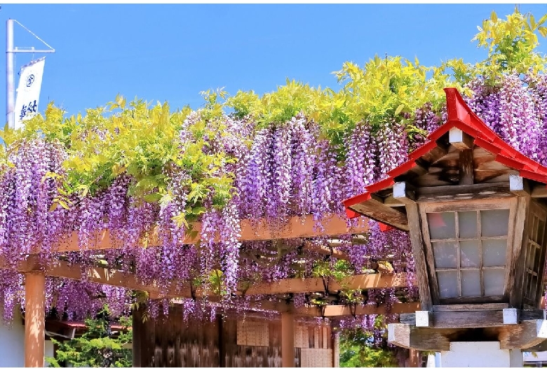 金蛇水神社