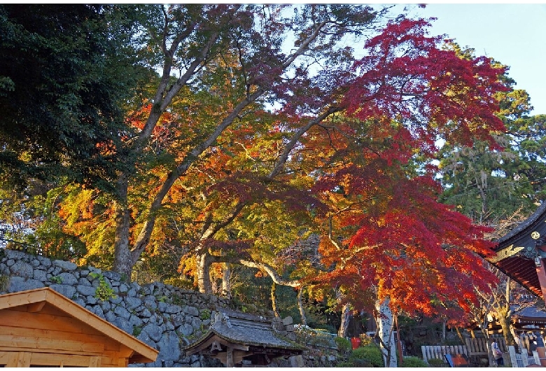 筑波山神社