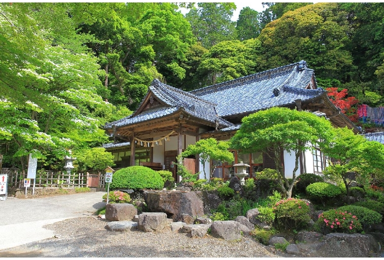 筑波山神社