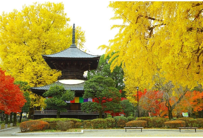 鑁阿寺