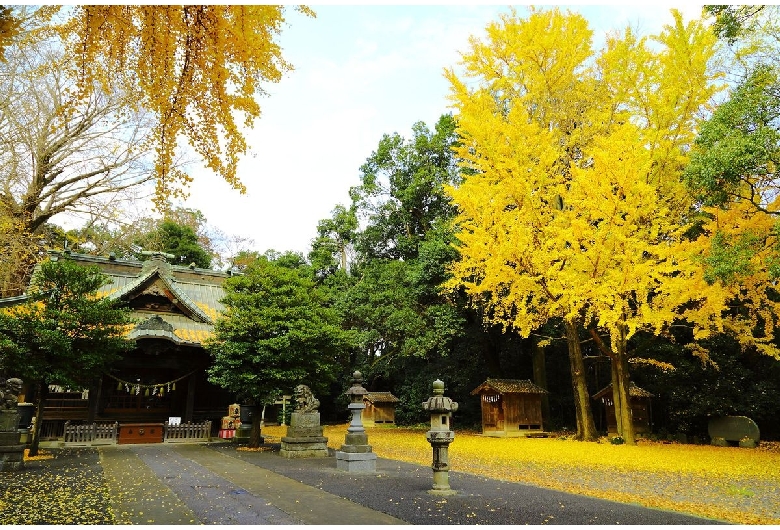 玉敷神社