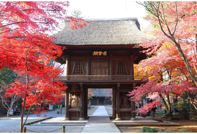 平林寺