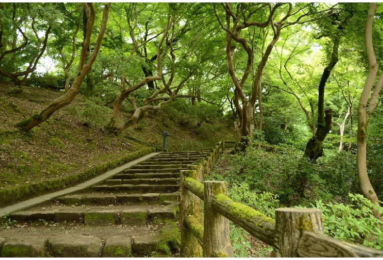 高岡古城公園（高岡城跡）