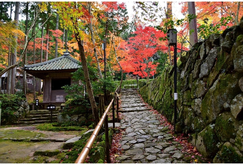 金剛輪寺（湖東三山）