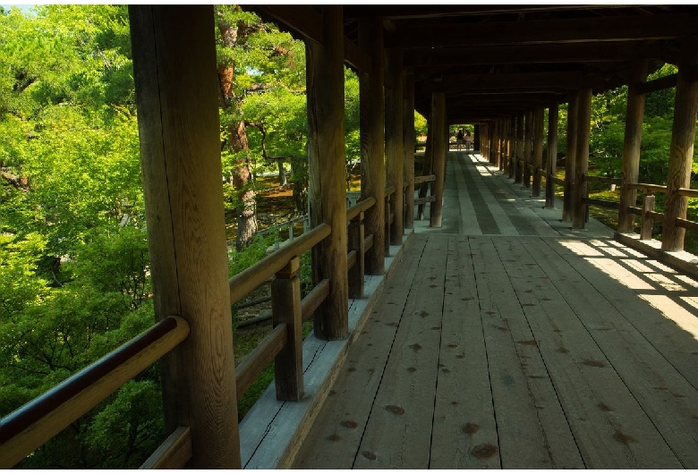 東福寺＞京都府 - 京都市街地・嵐山・高雄・鞍馬・大原・伏見