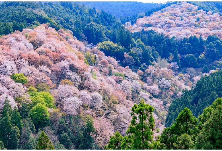 吉水神社（吉野山/中千本エリア）