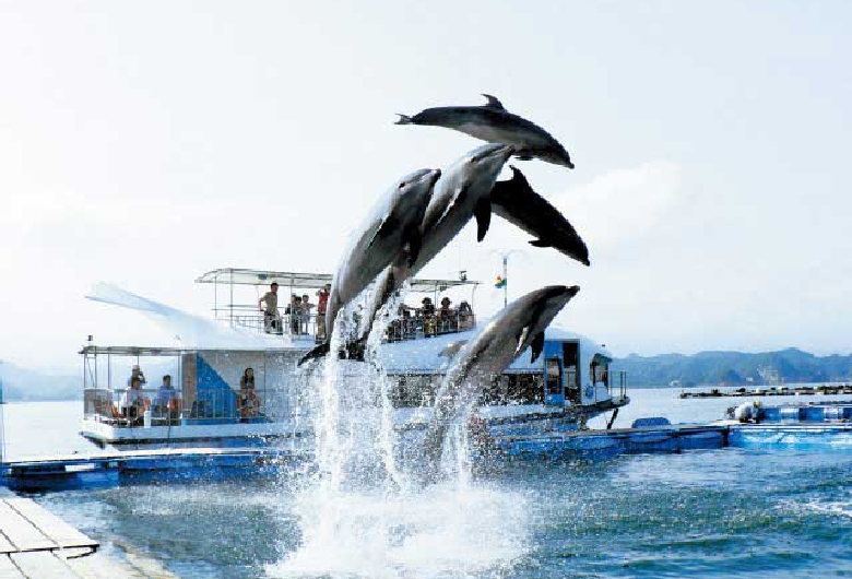 紀の松島めぐり