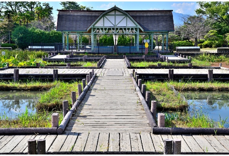 神野公園