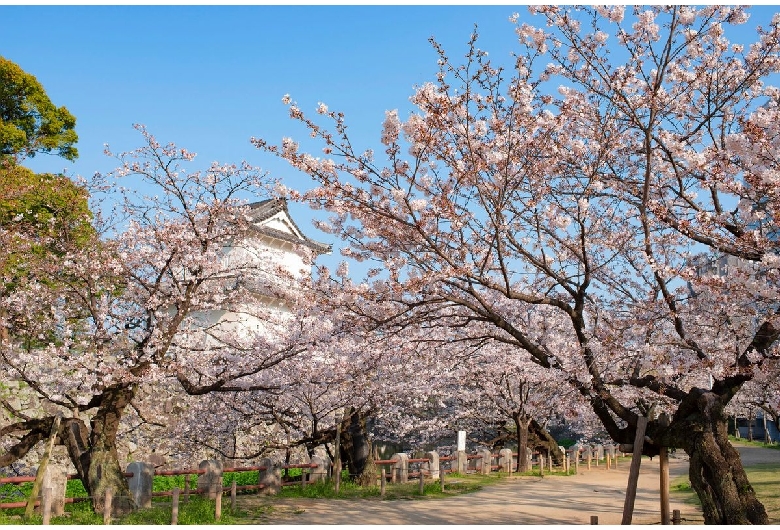 大分城址公園（府内城）