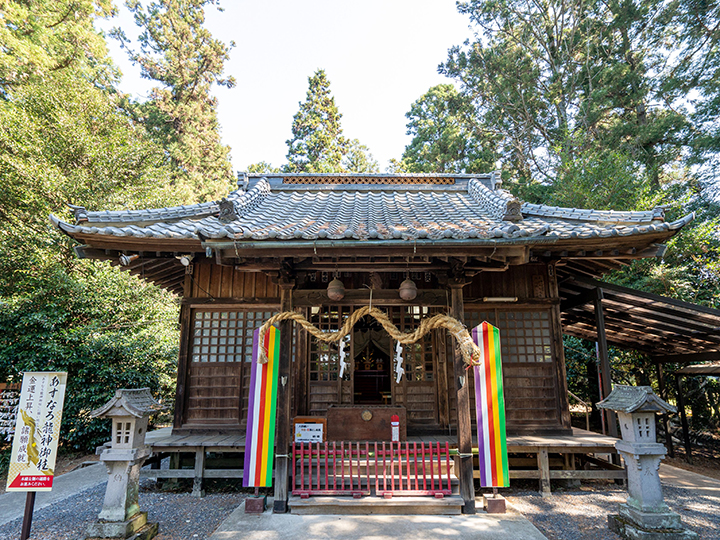 栃木】一度は行きたい！おすすめの神社仏閣