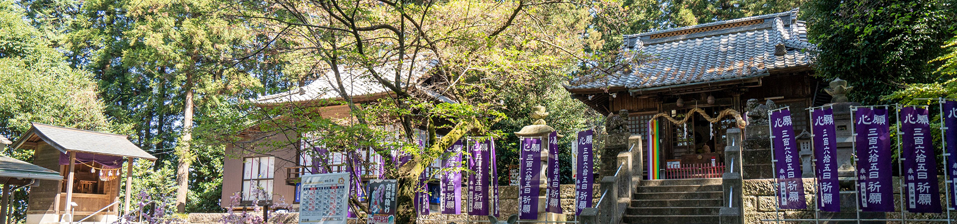 下野星宮神社