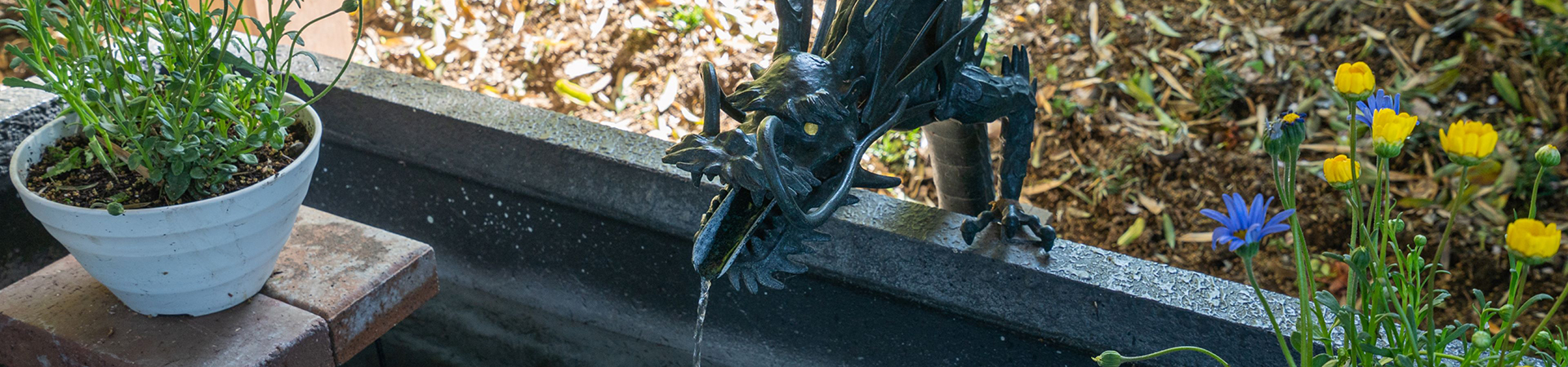 下野星宮神社