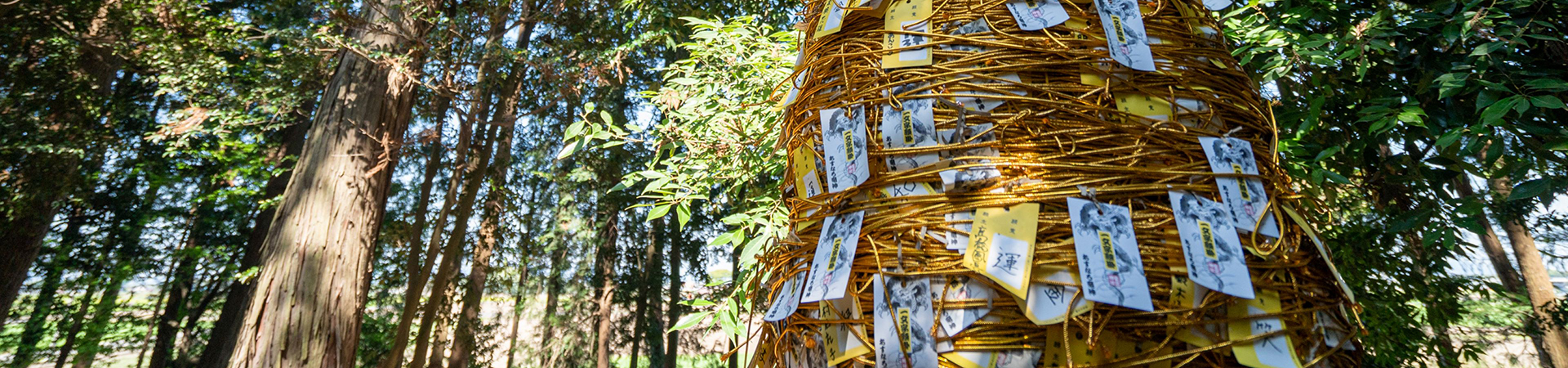 下野星宮神社