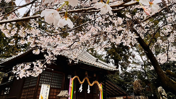 春の画像1
