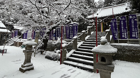 冬の画像1