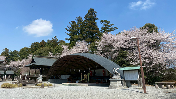 春の画像1