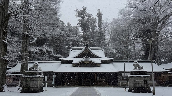 冬の画像1