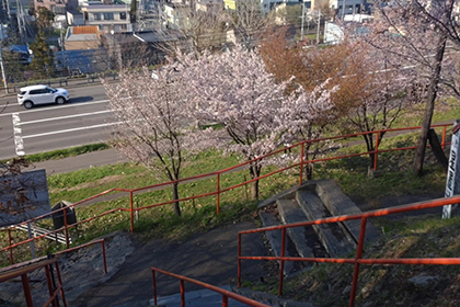 春の画像2