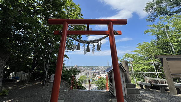夏の画像1