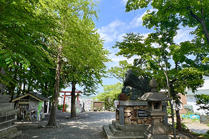 夏の画像2