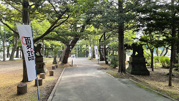 夏の画像1