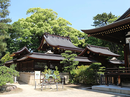 弓弦羽神社